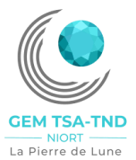 GEM TSA-TND Niort La Pierre de Lune